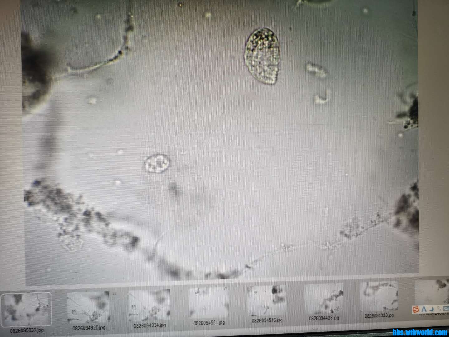 wechat_upload15984076105f45c3bad7eb3