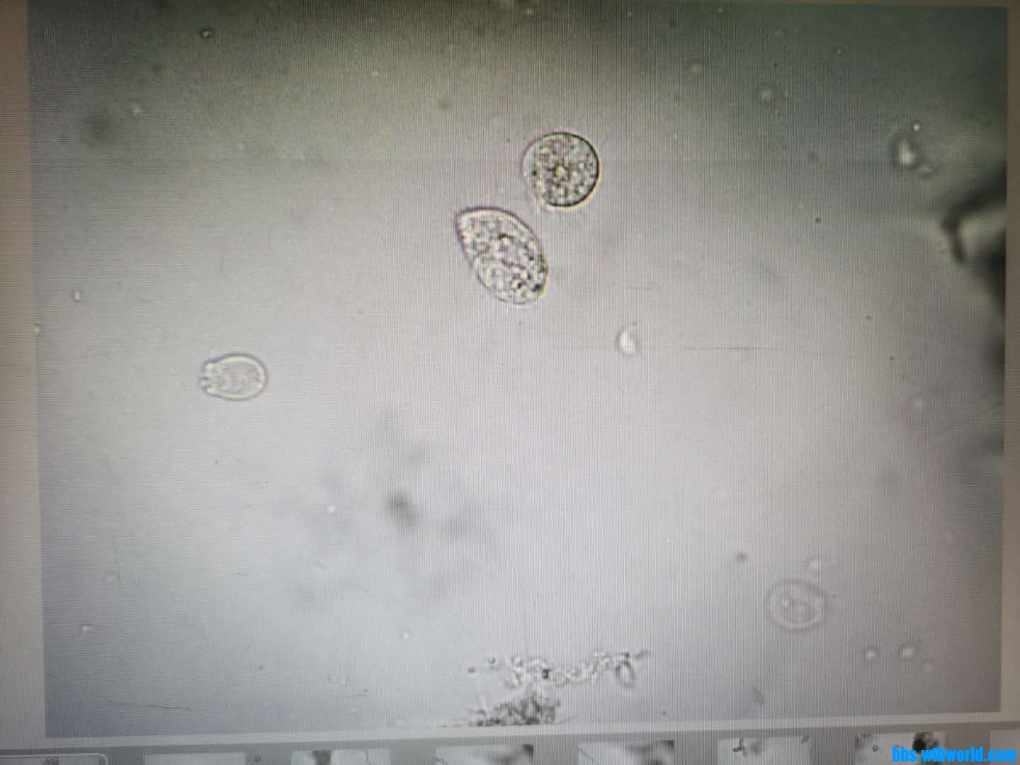 wechat_upload15984076115f45c3bb00c3a