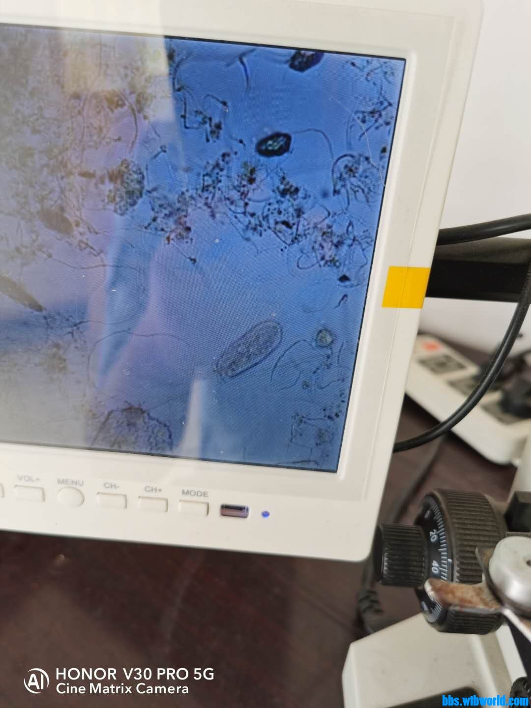 wechat_upload15984205335f45f6354bd32