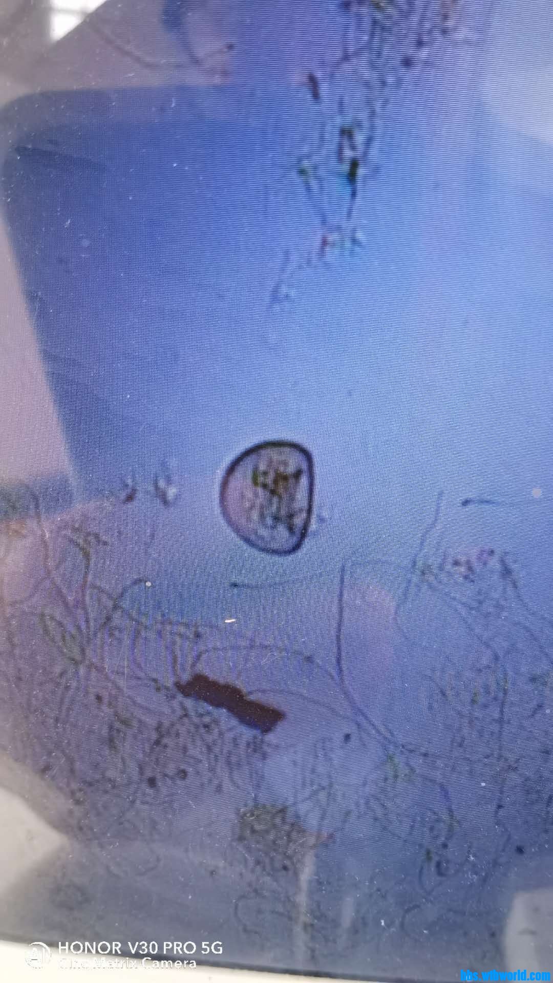 wechat_upload15984206395f45f69f1ceaf