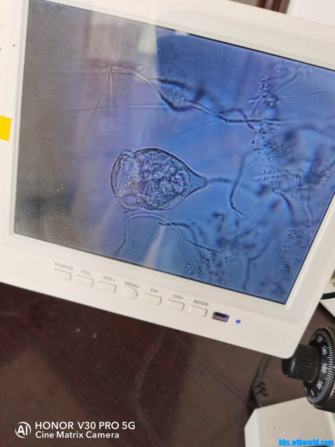 wechat_upload15984206555f45f6af64534