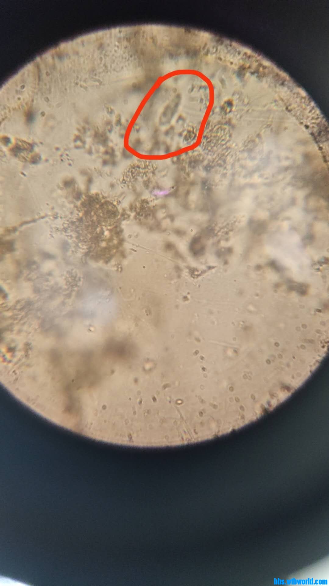 wechat_upload15984236155f46023fbd1ba