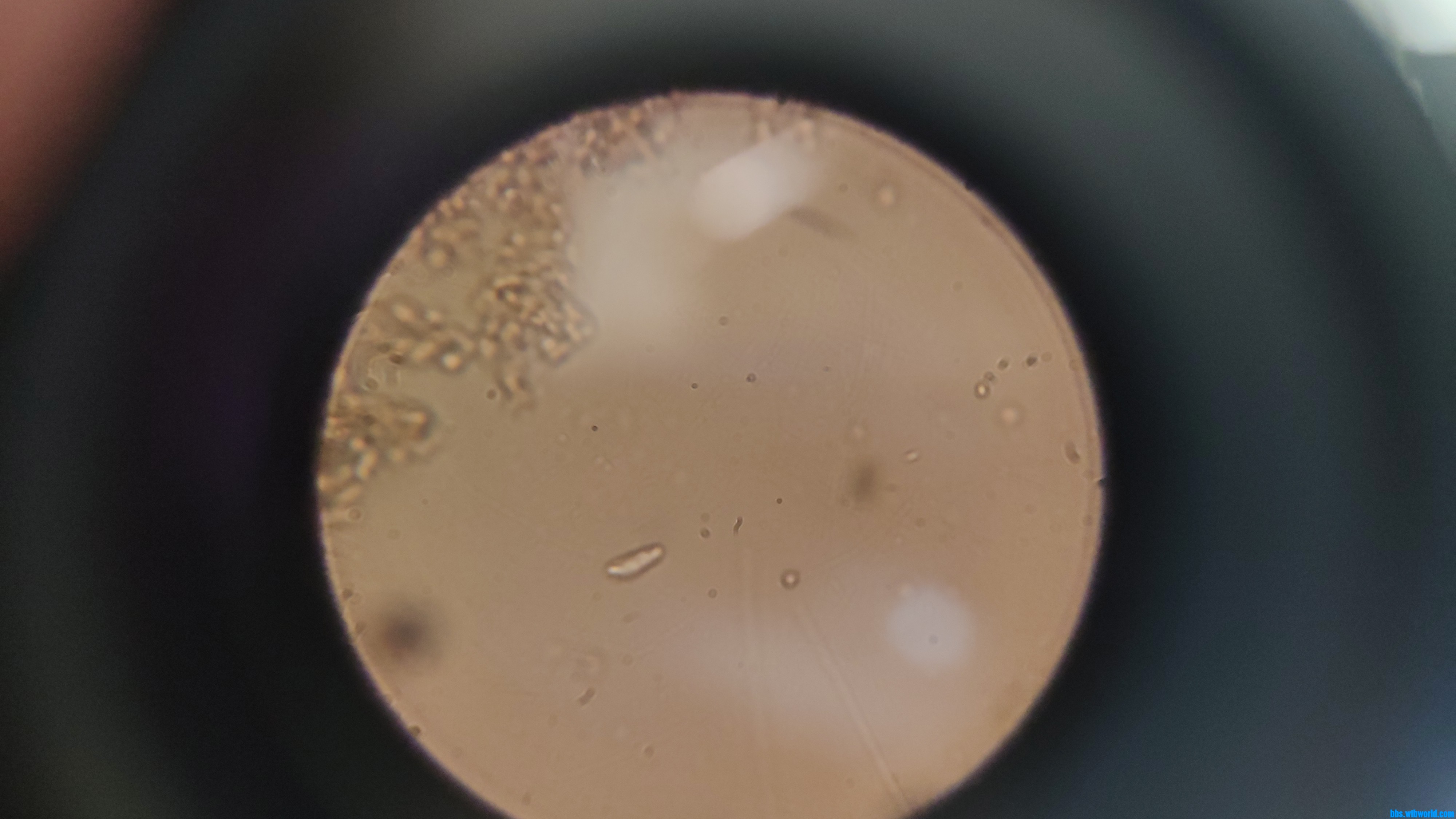 wechat_upload15984236305f46024eea3b9