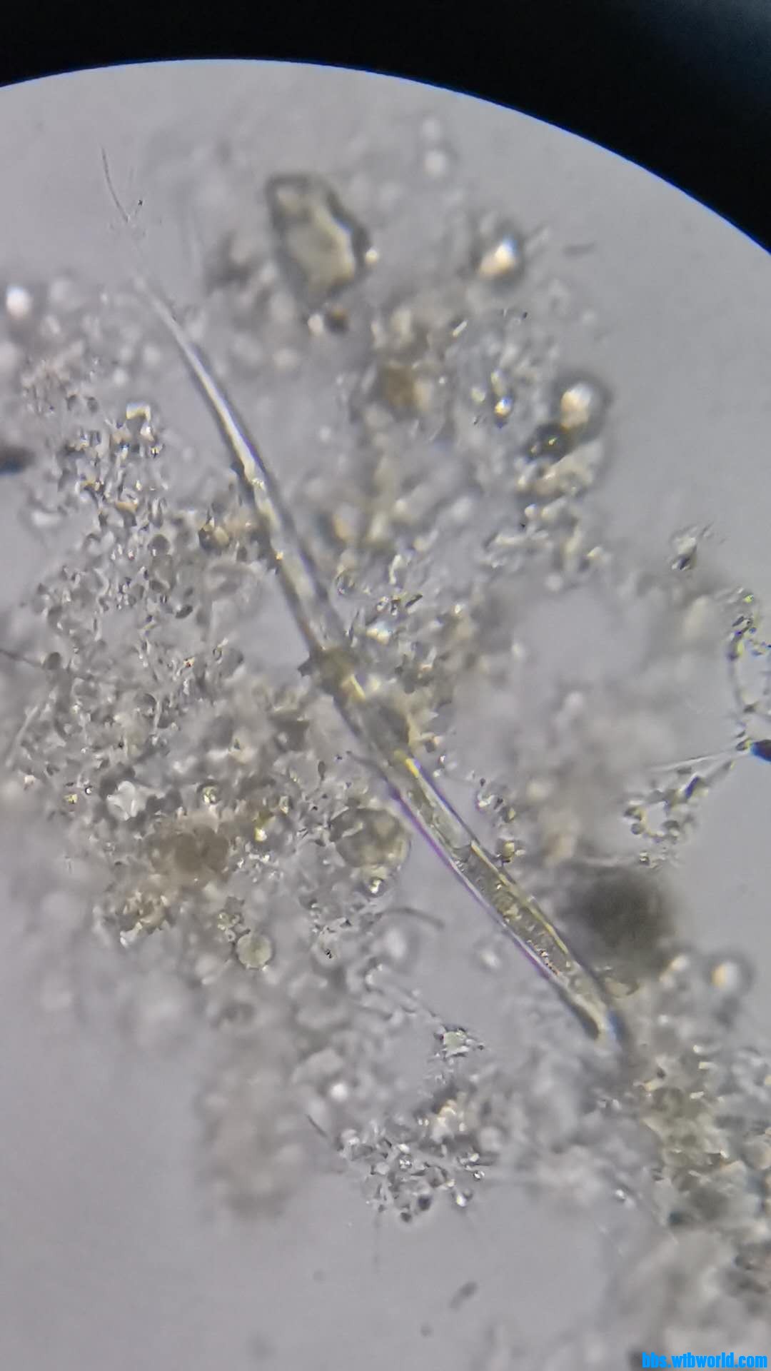 wechat_upload15984392935f463f7dc5047