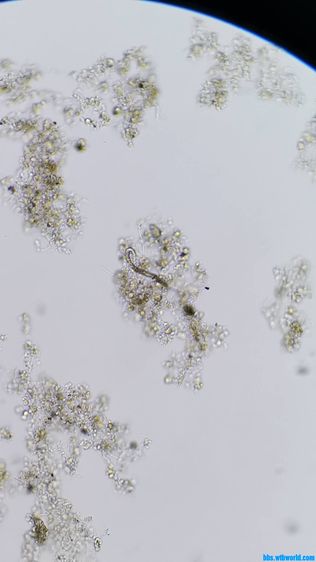 wechat_upload15984392935f463f7d75b0b