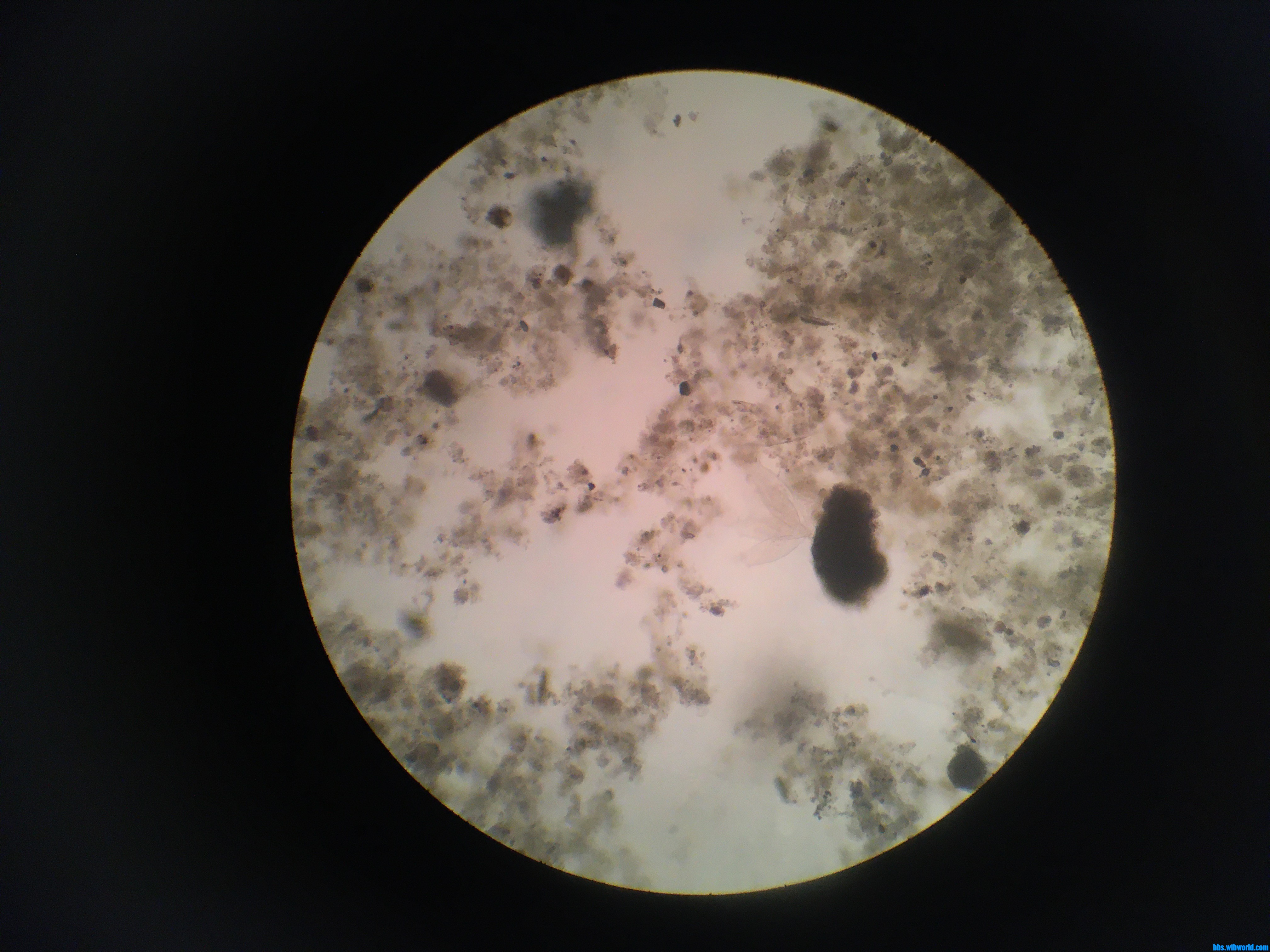 wechat_upload15984452705f4656d670b2c