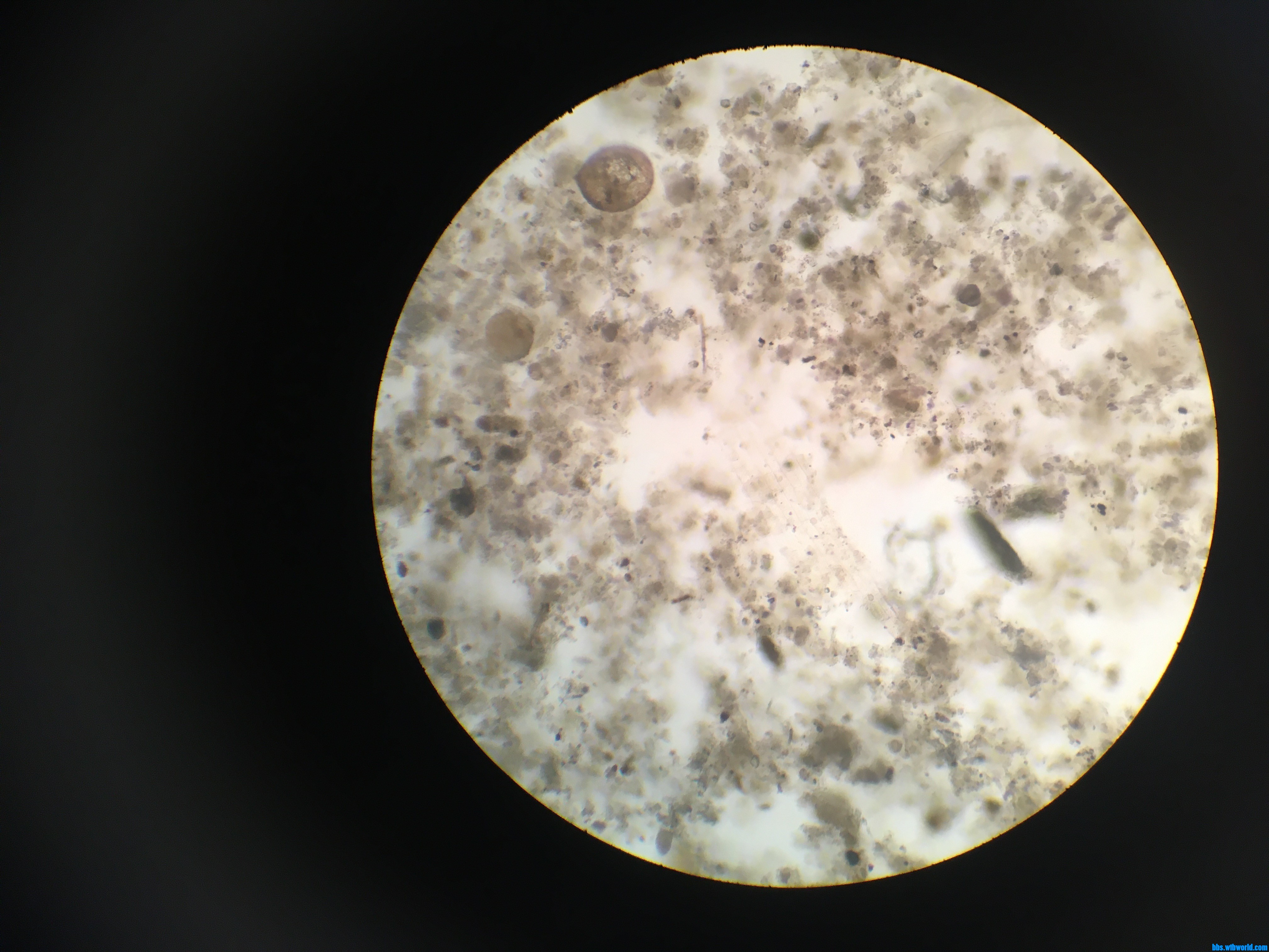 wechat_upload15984454115f465763405f6