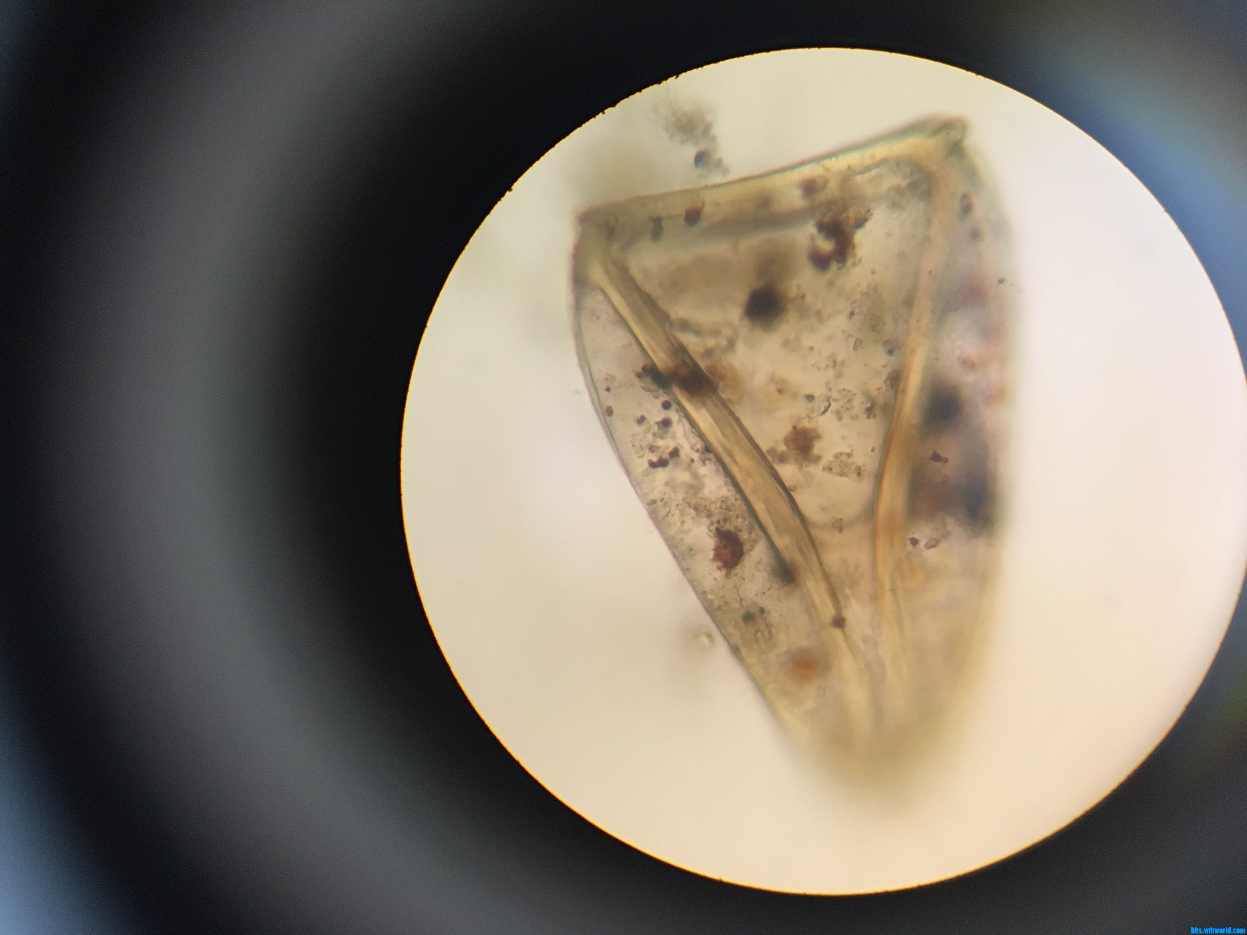 wechat_upload15984454205f46576c36160