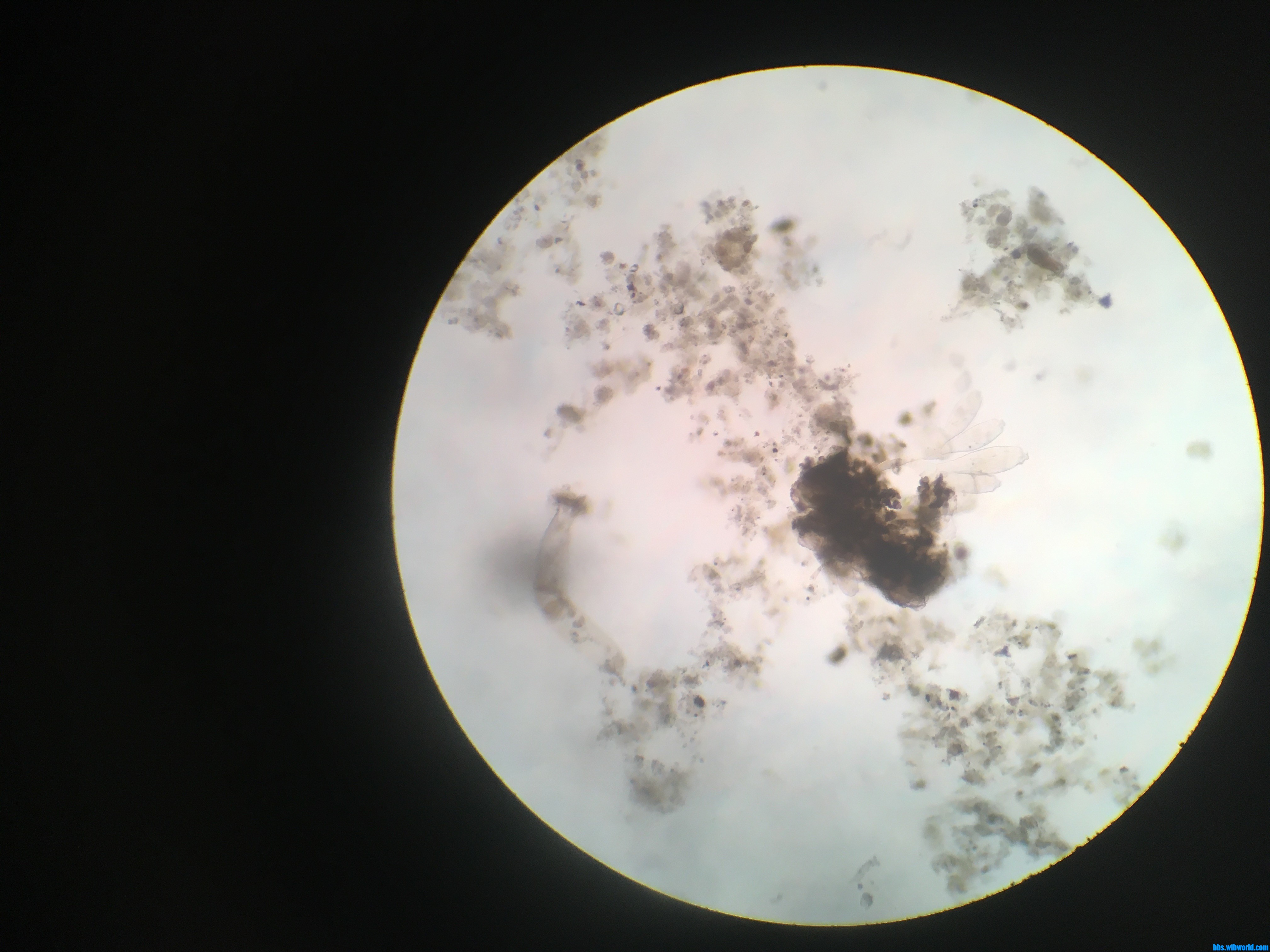 wechat_upload15984456525f465854abb53