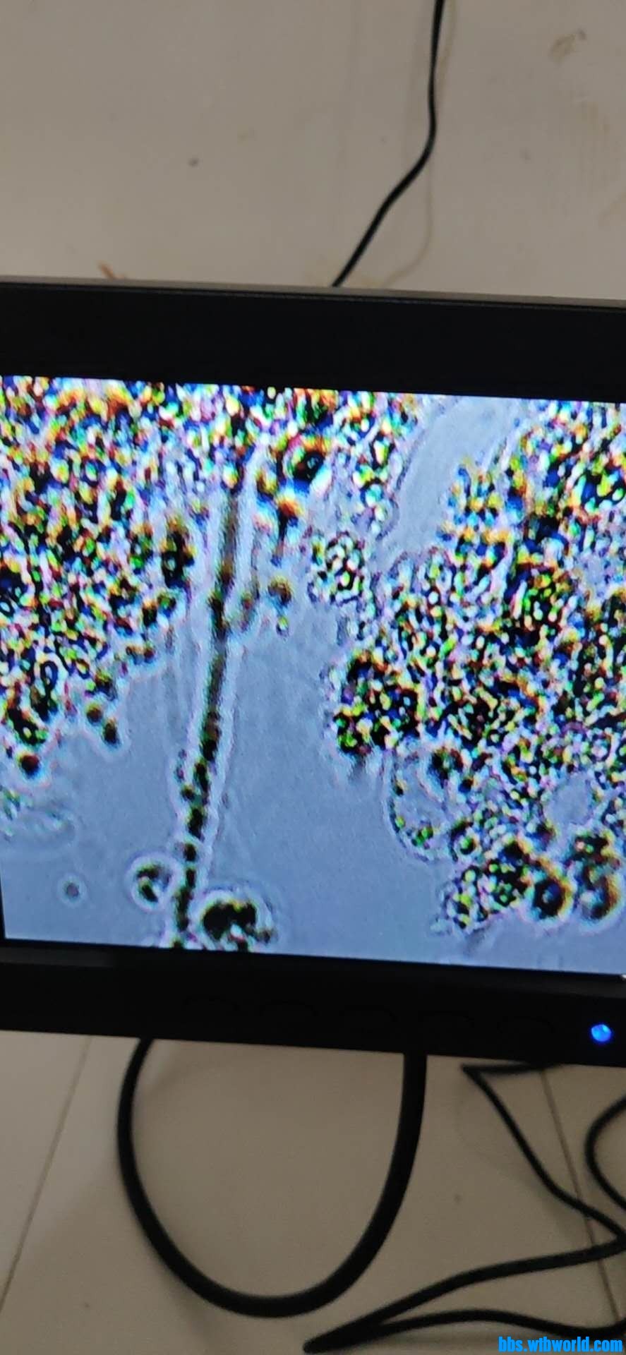 wechat_upload15985087765f474ee87b678