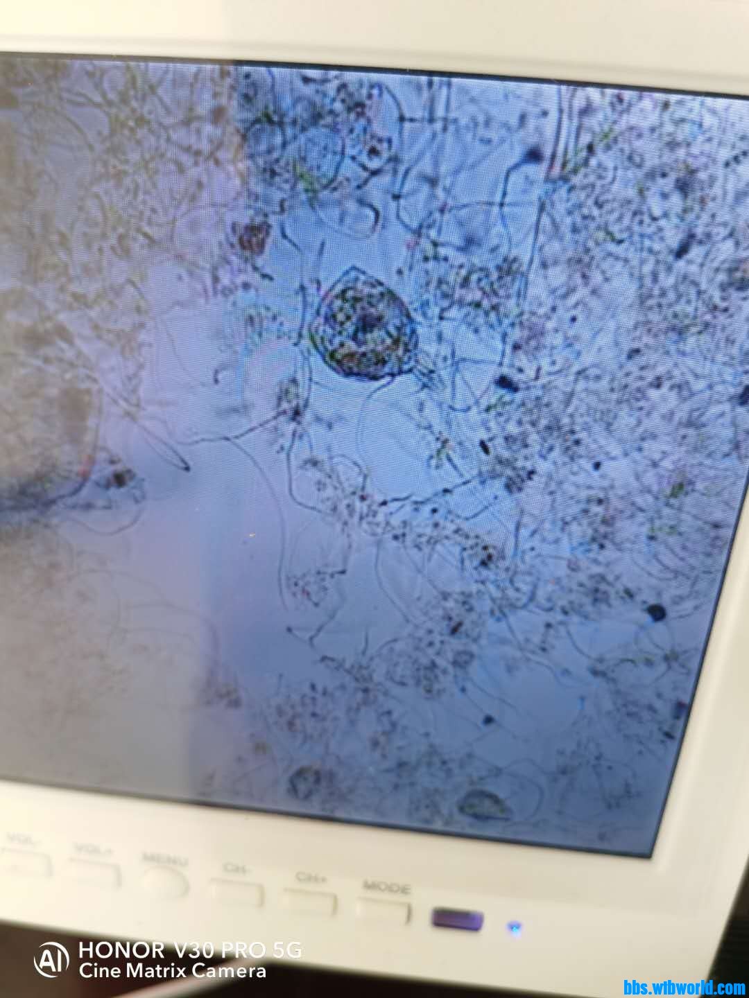 wechat_upload15985134435f476123c4cfa