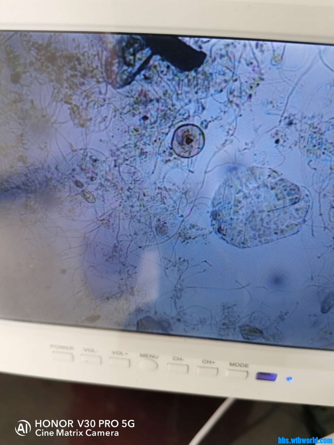 wechat_upload15985134535f47612d39e7b