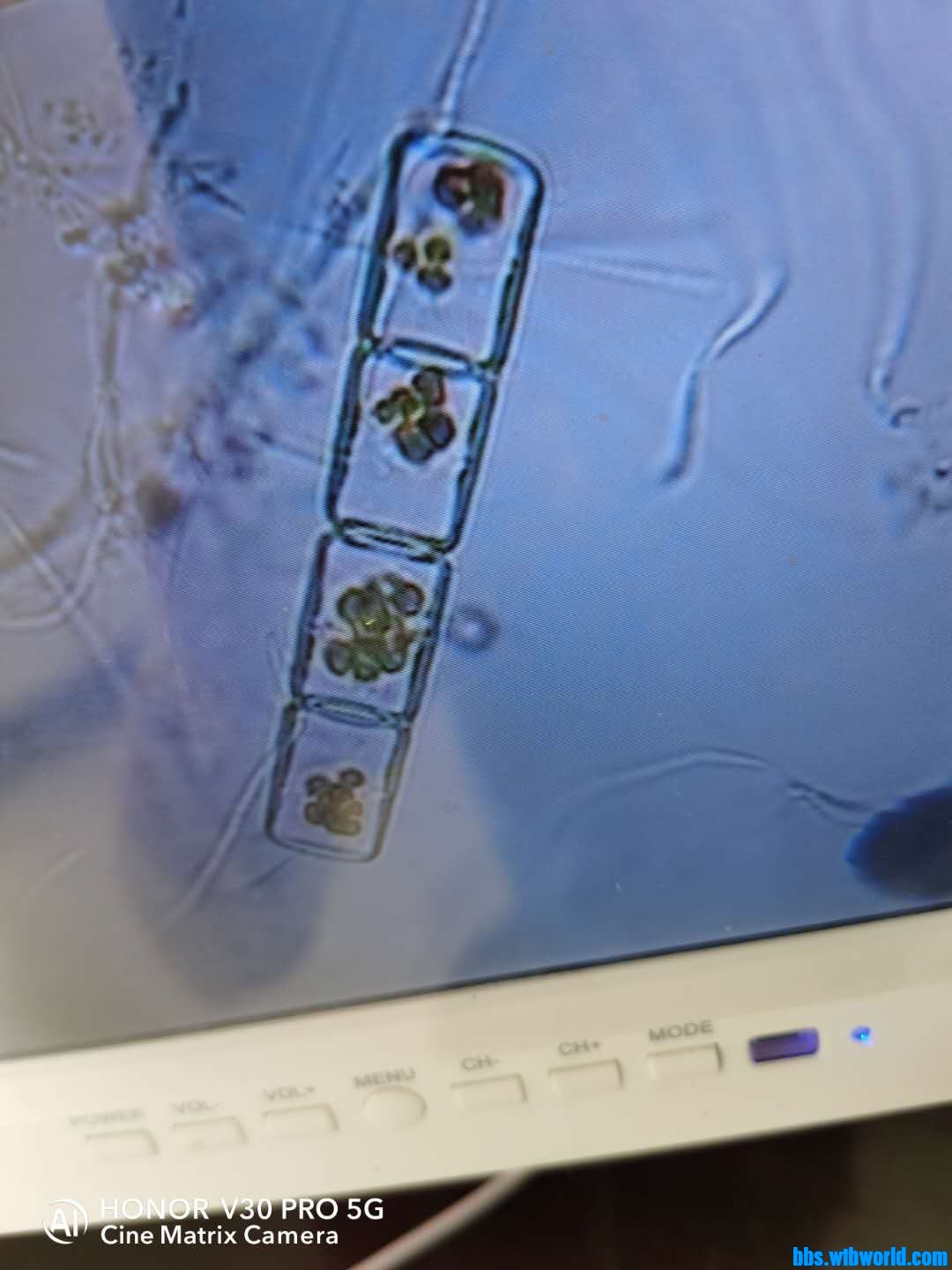 wechat_upload15985135925f4761b8f3b72