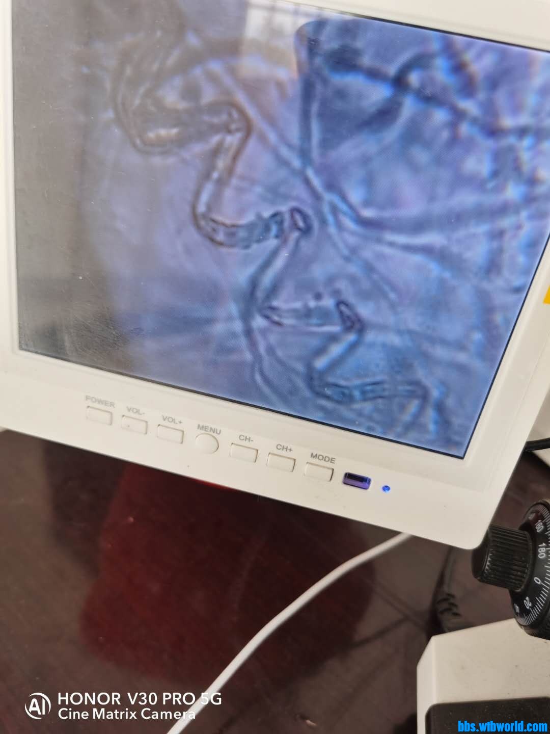 wechat_upload15985136055f4761c529215