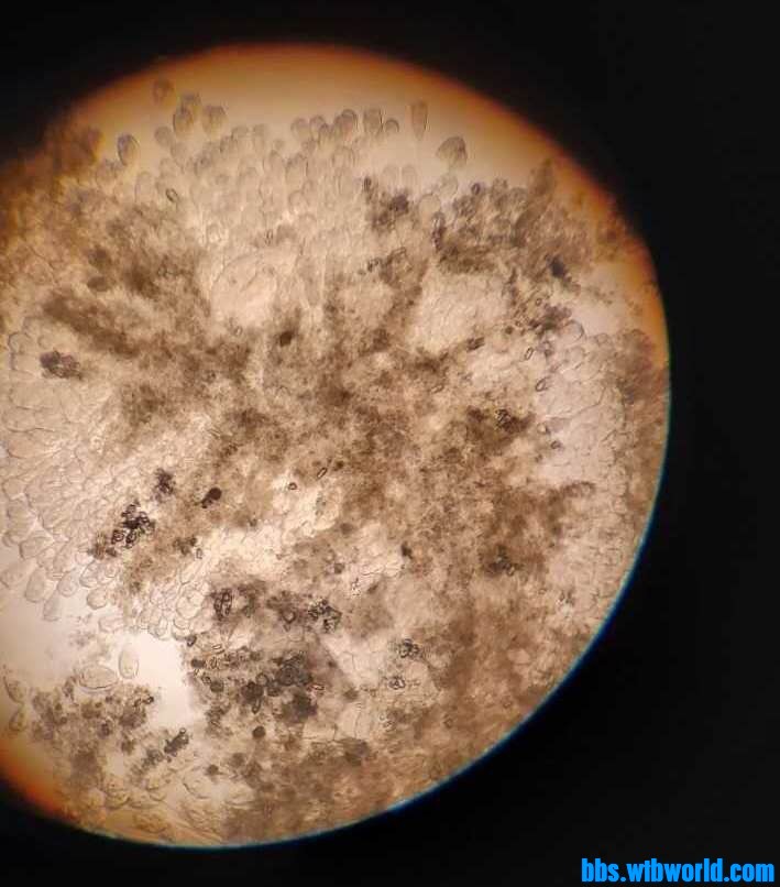 wechat_upload15987210835f4a8c3be1c07