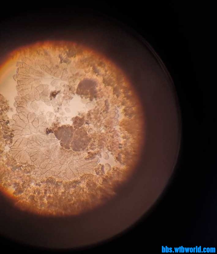 wechat_upload15987210845f4a8c3c2b3f2