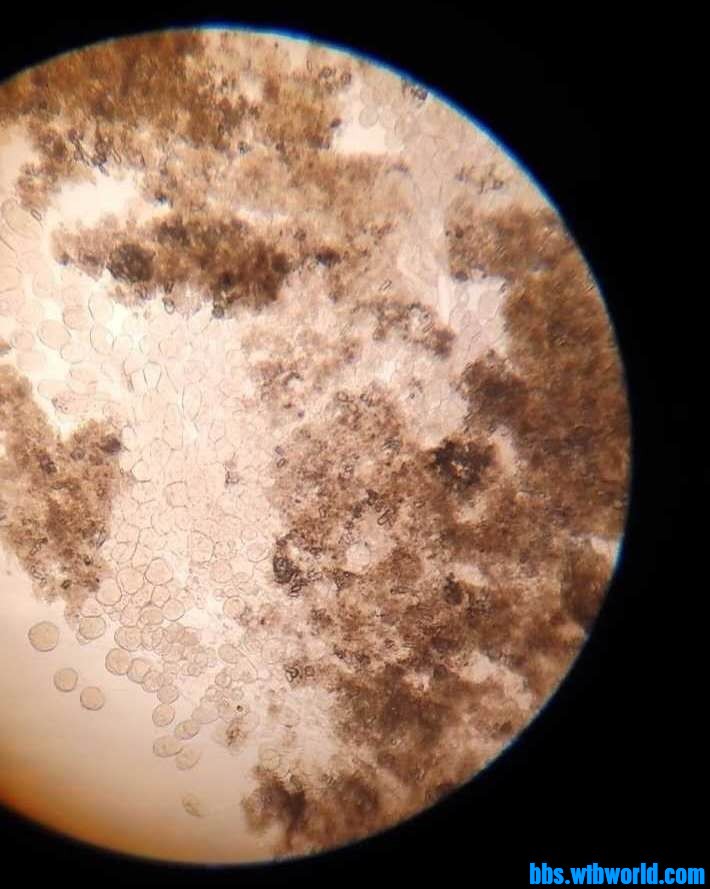 wechat_upload15987210845f4a8c3c640f1