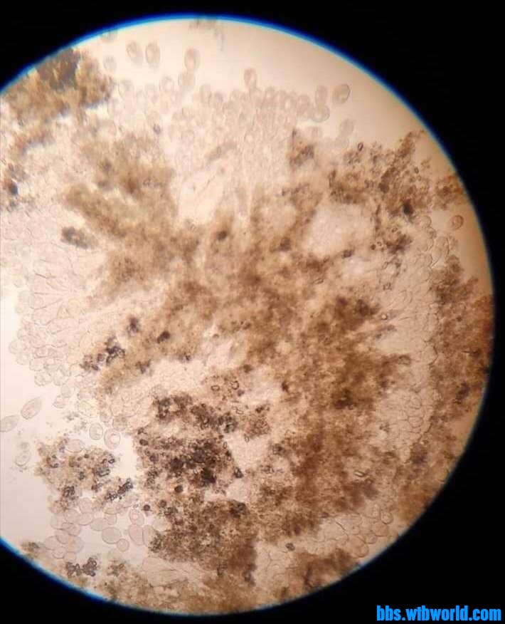 wechat_upload15987210845f4a8c3cb37c6