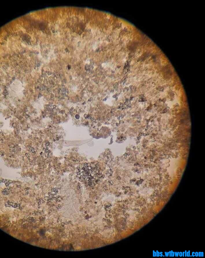 wechat_upload15987210845f4a8c3c96f18