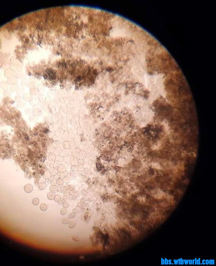 wechat_upload15987210845f4a8c3c475d9