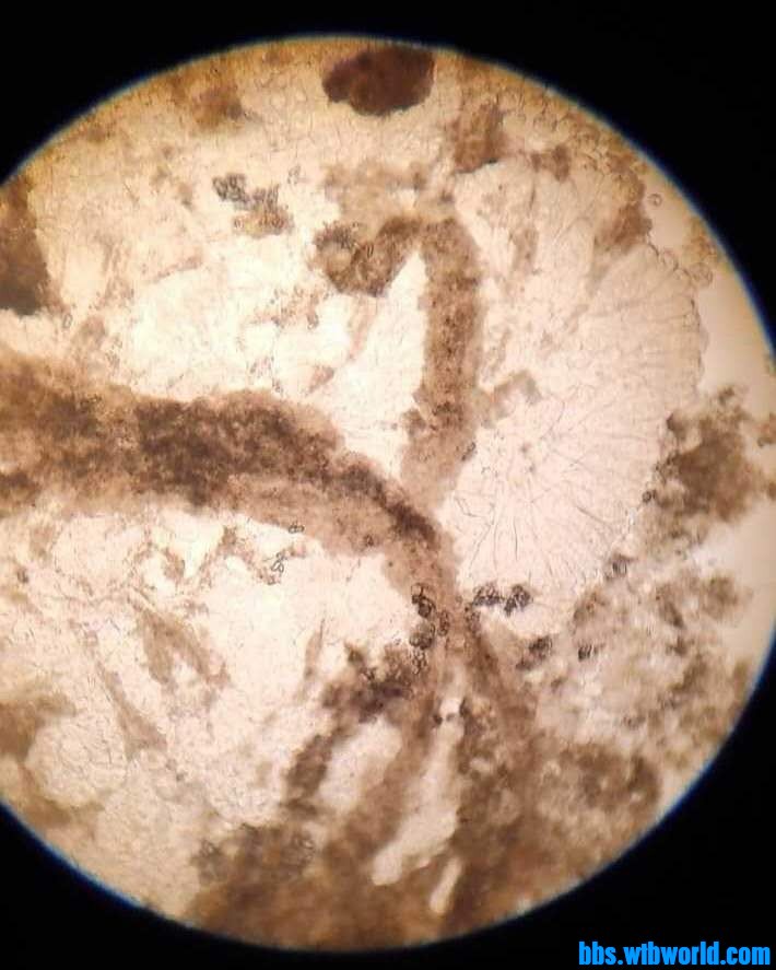 wechat_upload15987210845f4a8c3c7fdb2