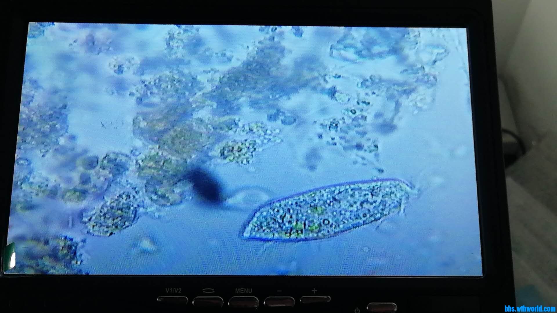 wechat_upload15992952575f534f193ab13