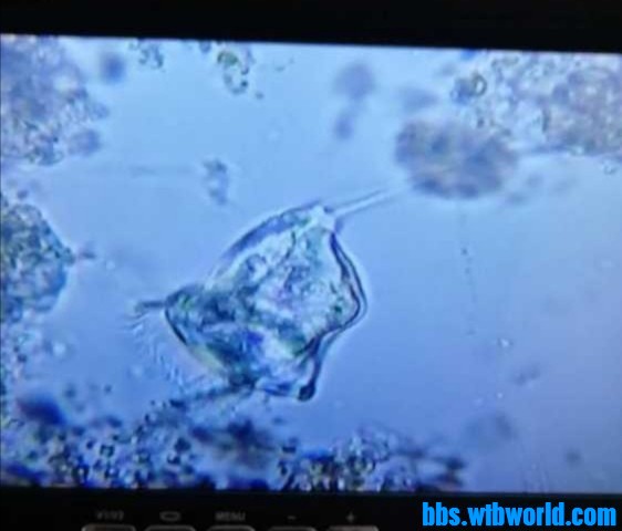 wechat_upload15993096135f53872d6d4ff