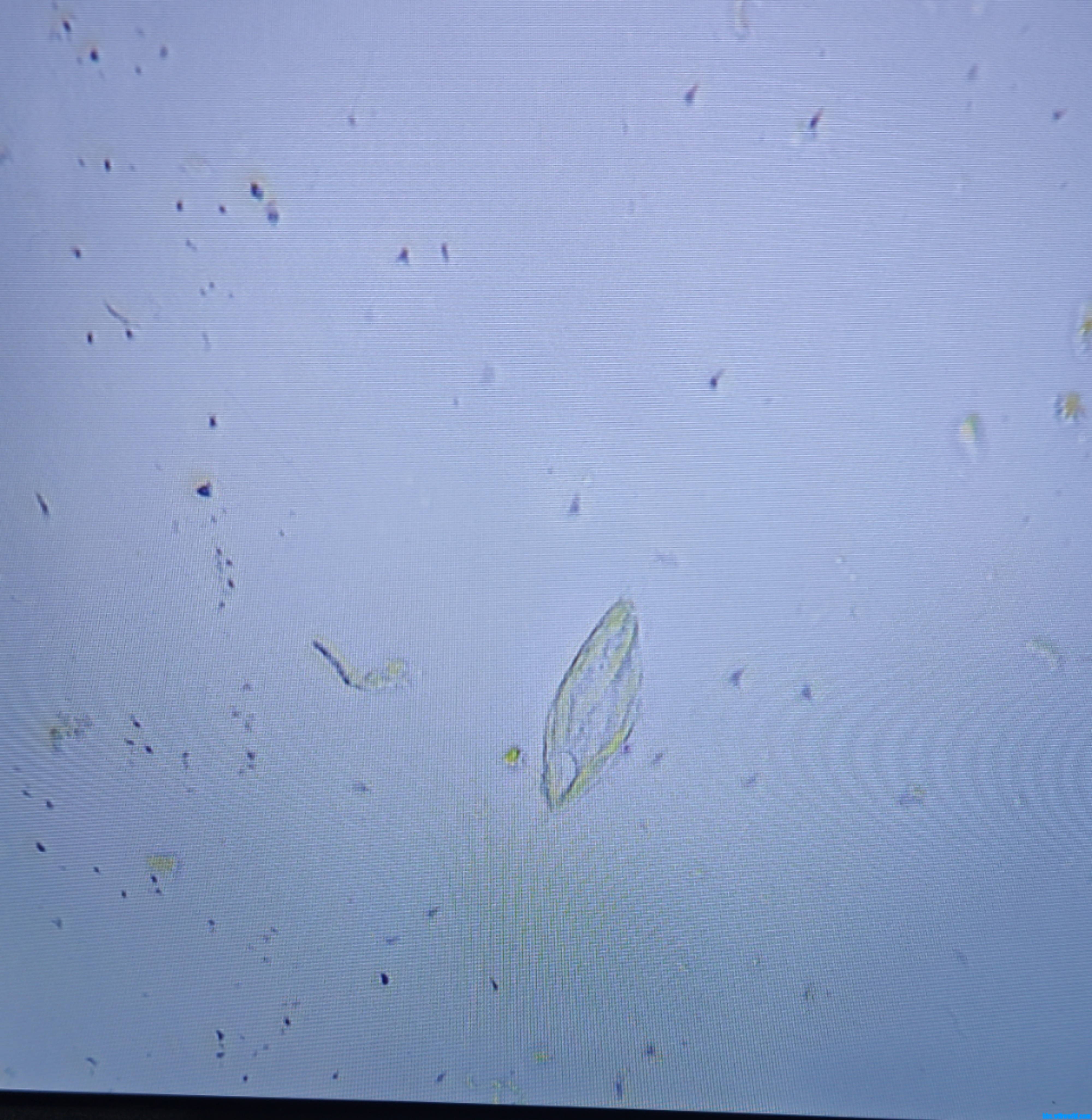 wechat_upload15997954295f5af0e5f22fc