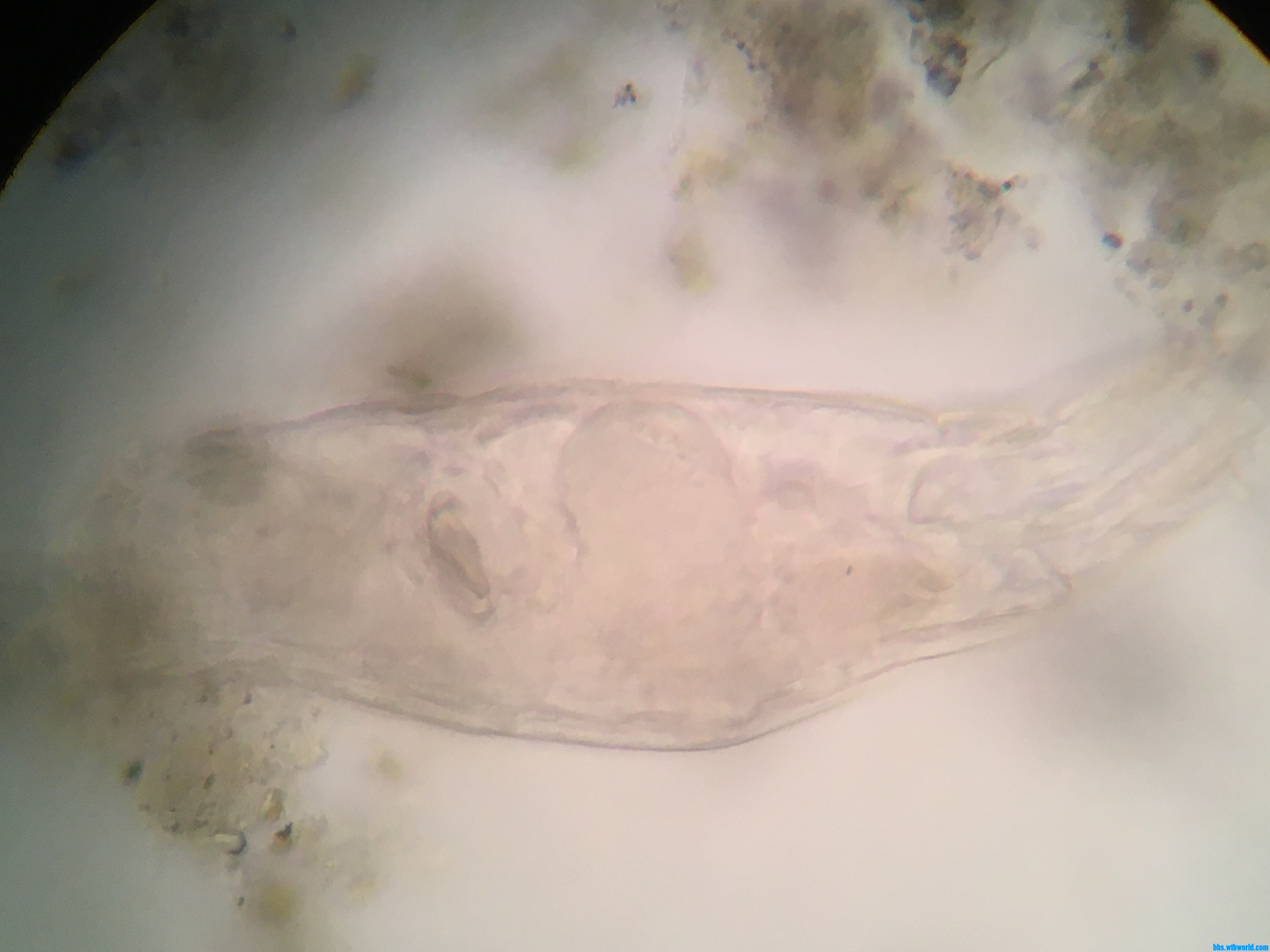 wechat_upload15998226315f5b5b2751004