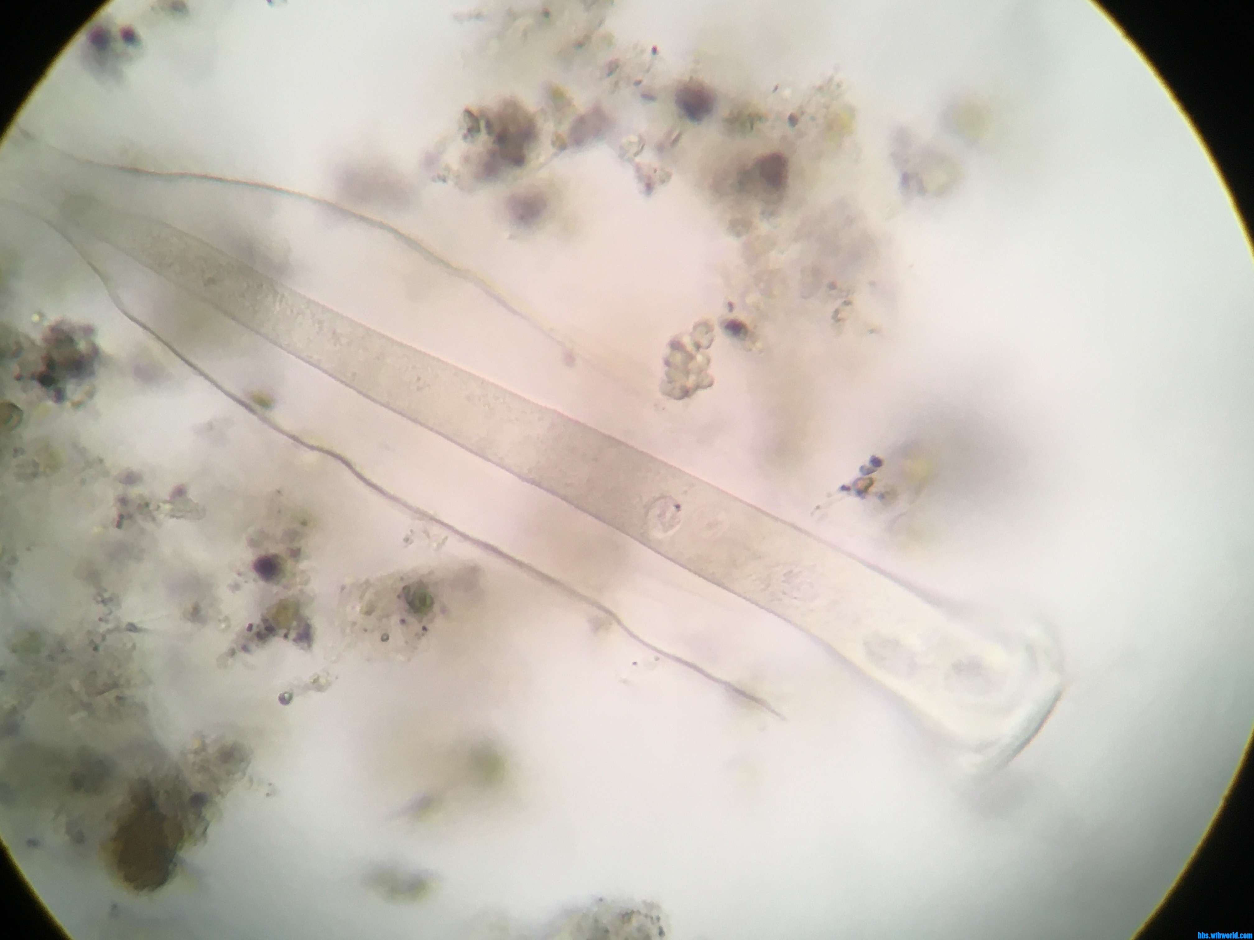 wechat_upload15998226535f5b5b3d85d49