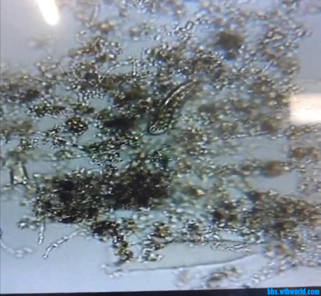 wechat_upload15998767495f5c2e8dc3372