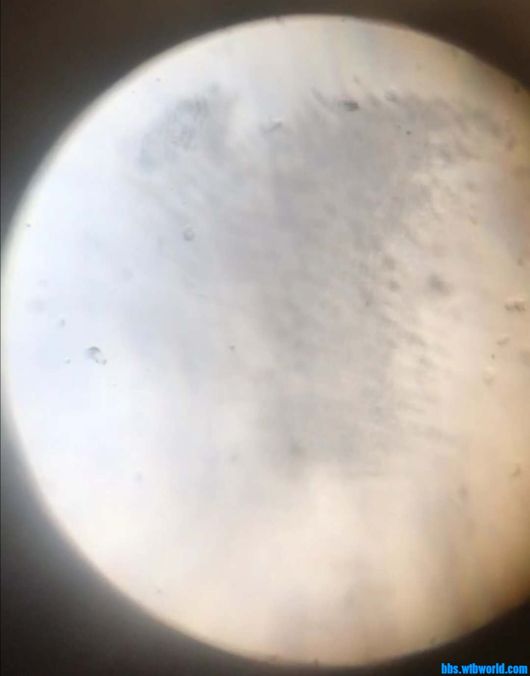 wechat_upload15998944805f5c73d0e666f