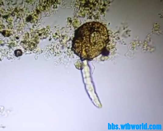 wechat_upload15999836595f5dd02bd0eb9