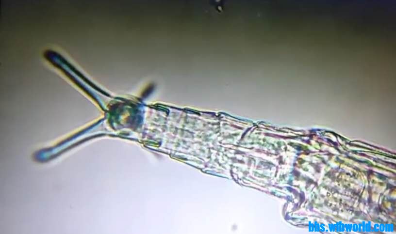 wechat_upload15999855135f5dd769e201b