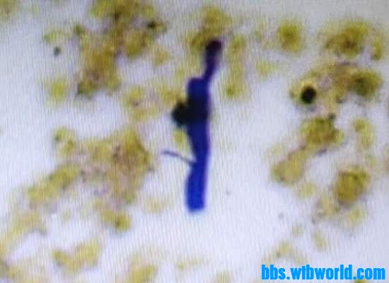 wechat_upload15999871325f5dddbc5c52c