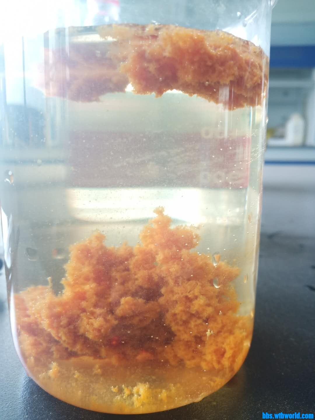 wechat_upload15999890865f5de55e1b86e