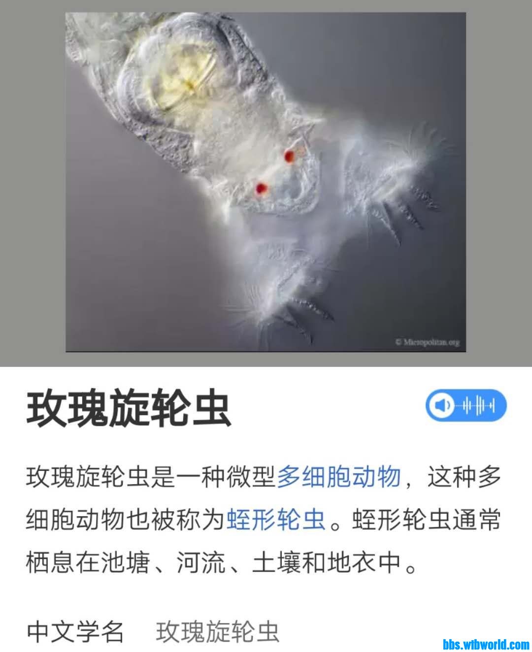 wechat_upload15999993735f5e0d8d71b61