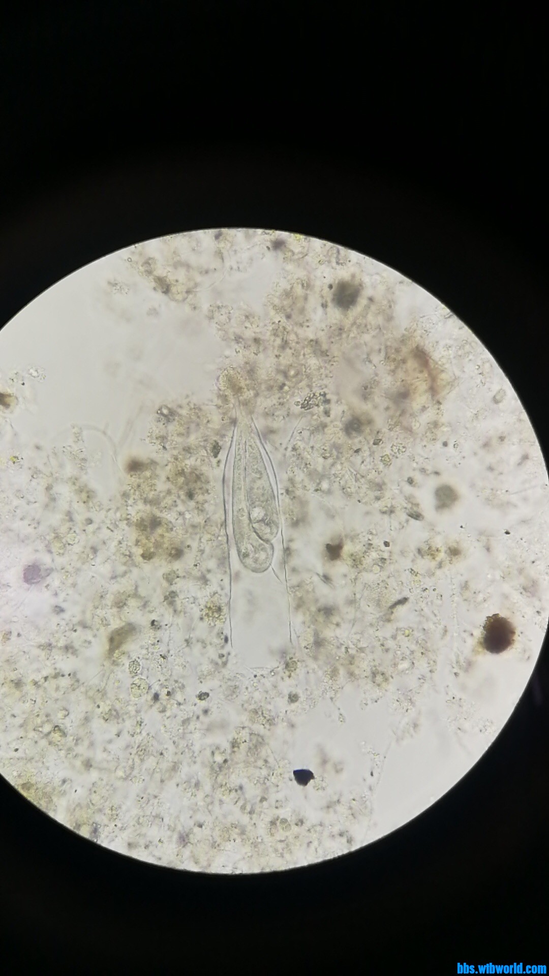 wechat_upload16000517445f5eda208b630