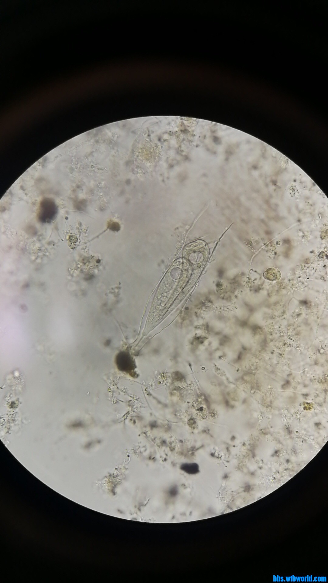 wechat_upload16000517445f5eda20bb5f8