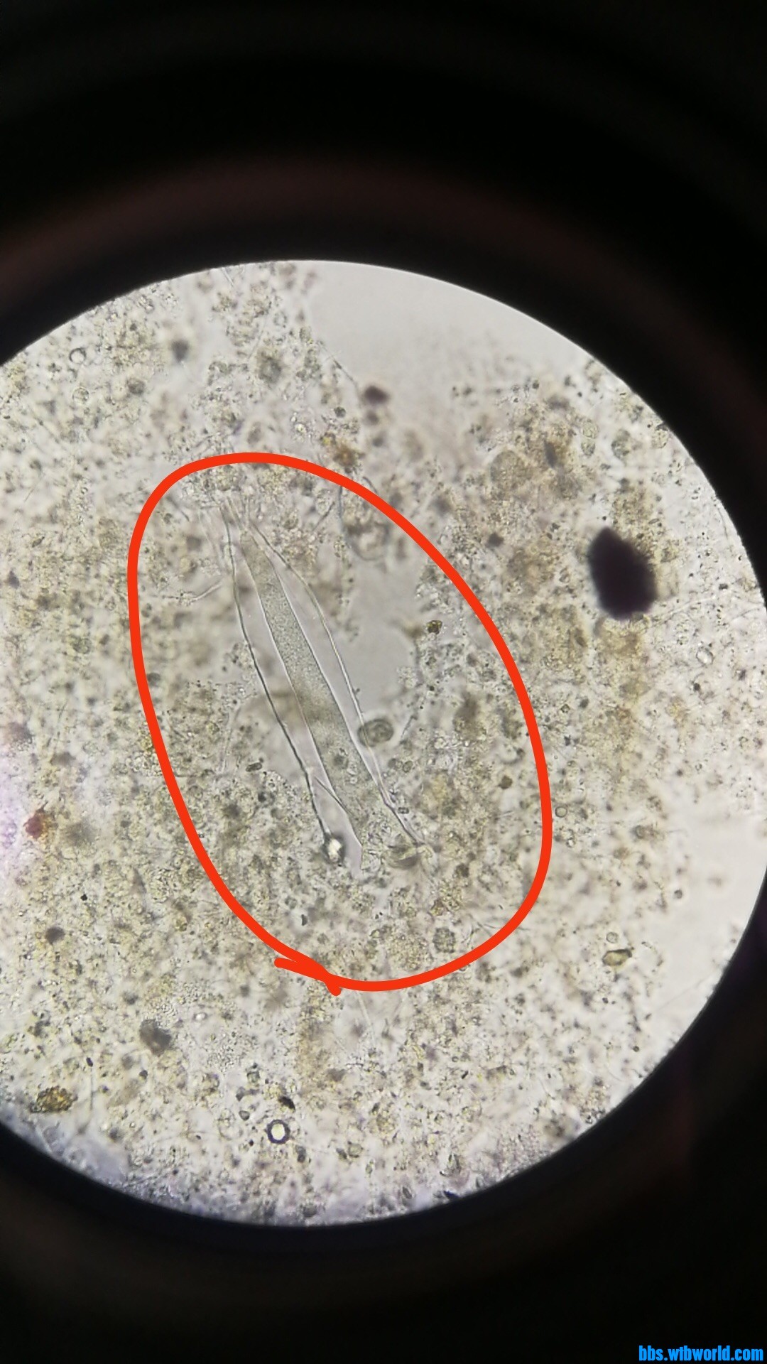 wechat_upload16000517455f5eda21375b7