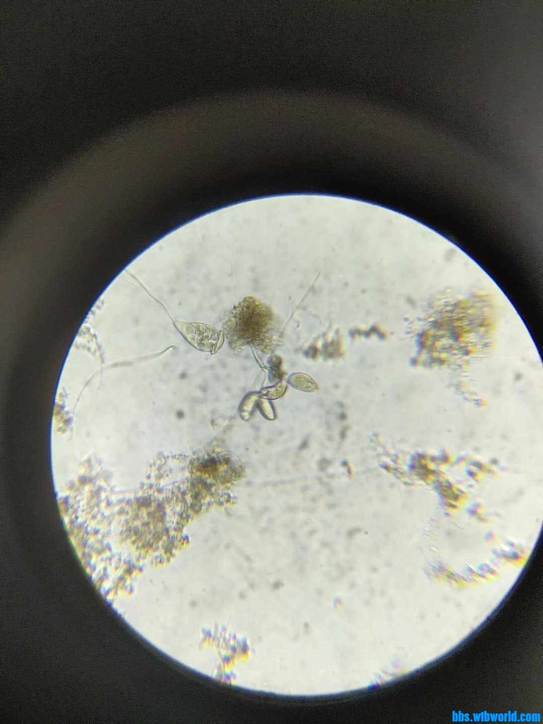 wechat_upload16000666955f5f14877dde2