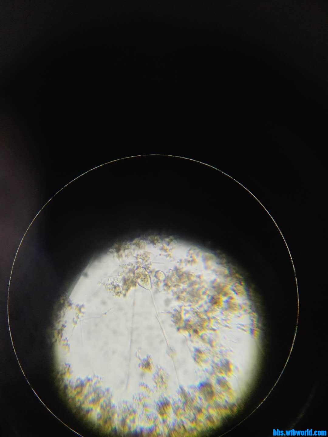 wechat_upload16000666955f5f1487c48fe