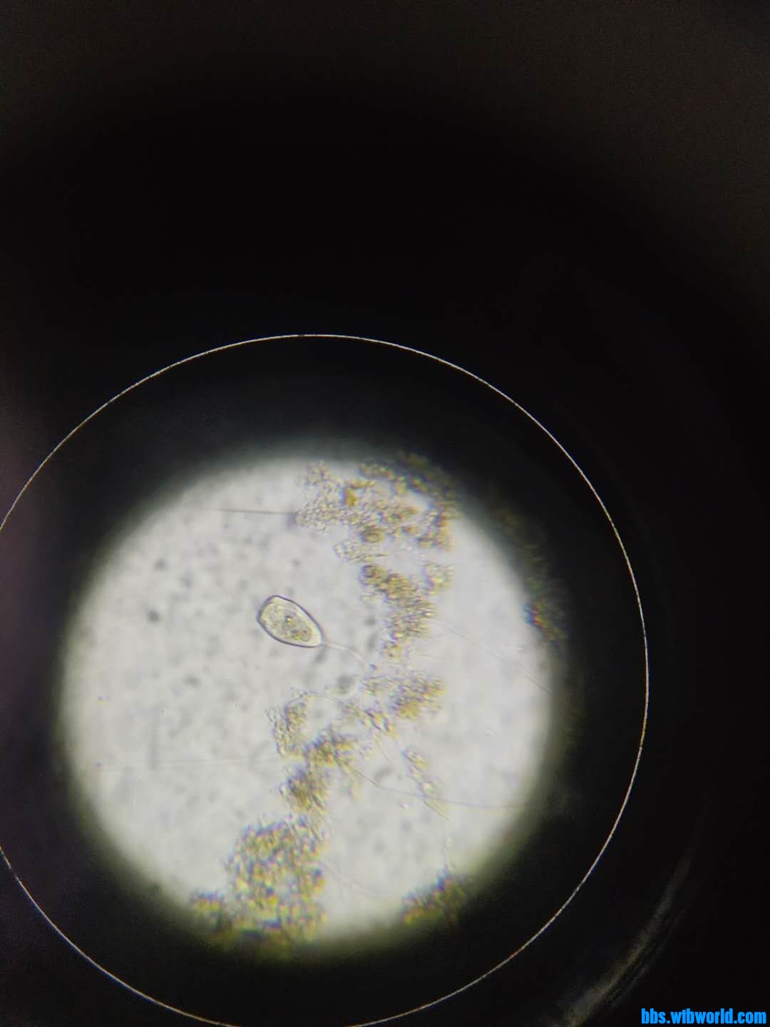 wechat_upload16000666955f5f14872eedb