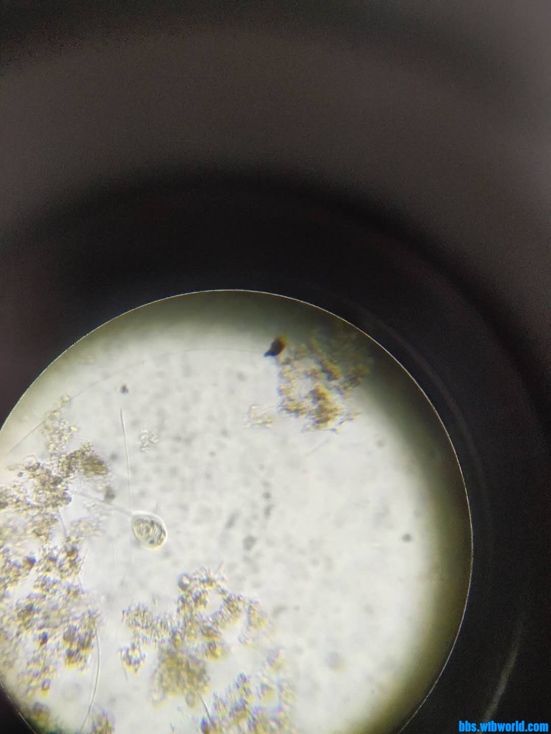 wechat_upload16000666955f5f1487e5783