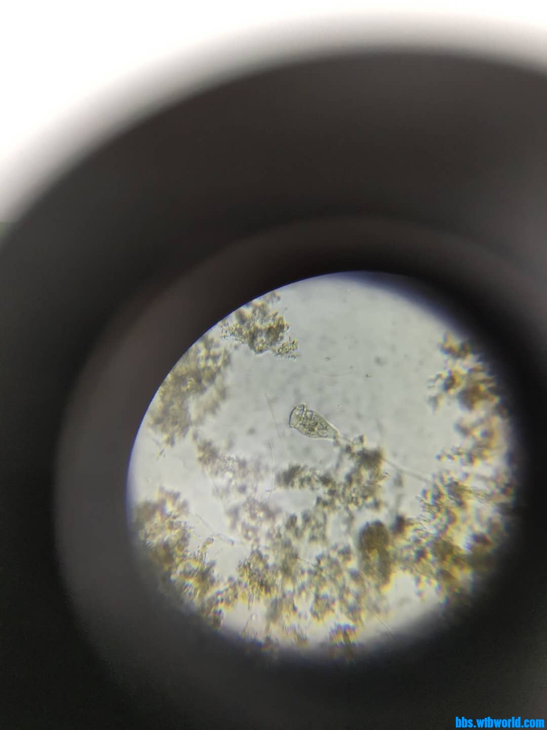 wechat_upload16000666965f5f1488558fc