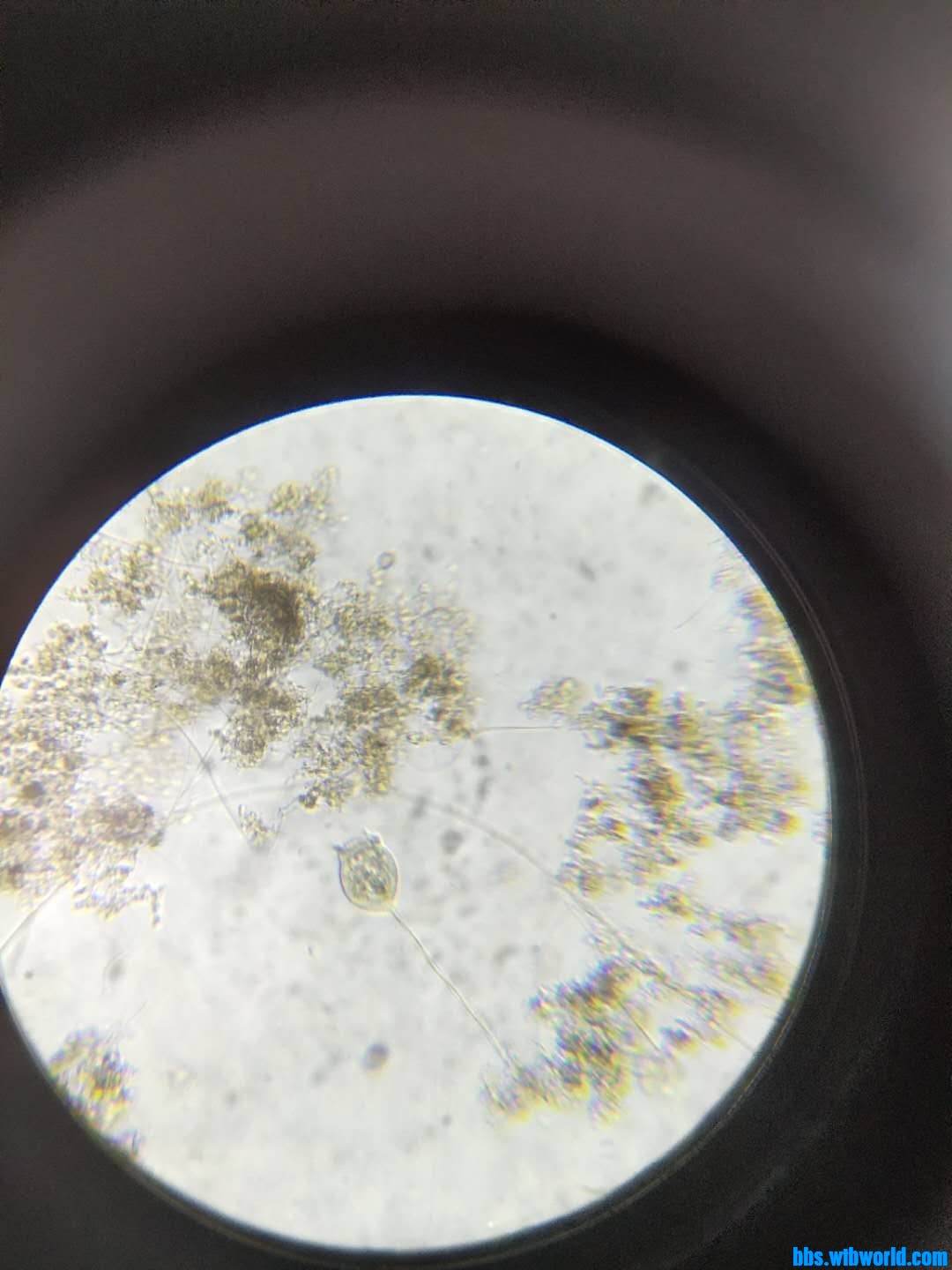 wechat_upload16000666965f5f148815e3f