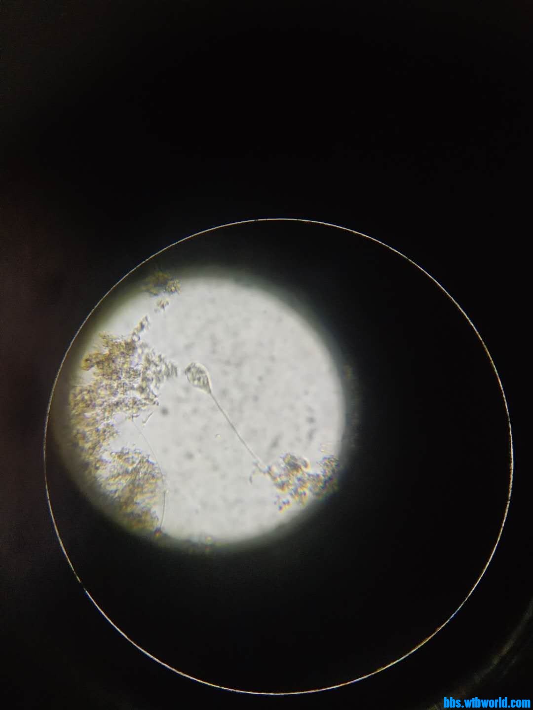 wechat_upload16000666965f5f1488324eb