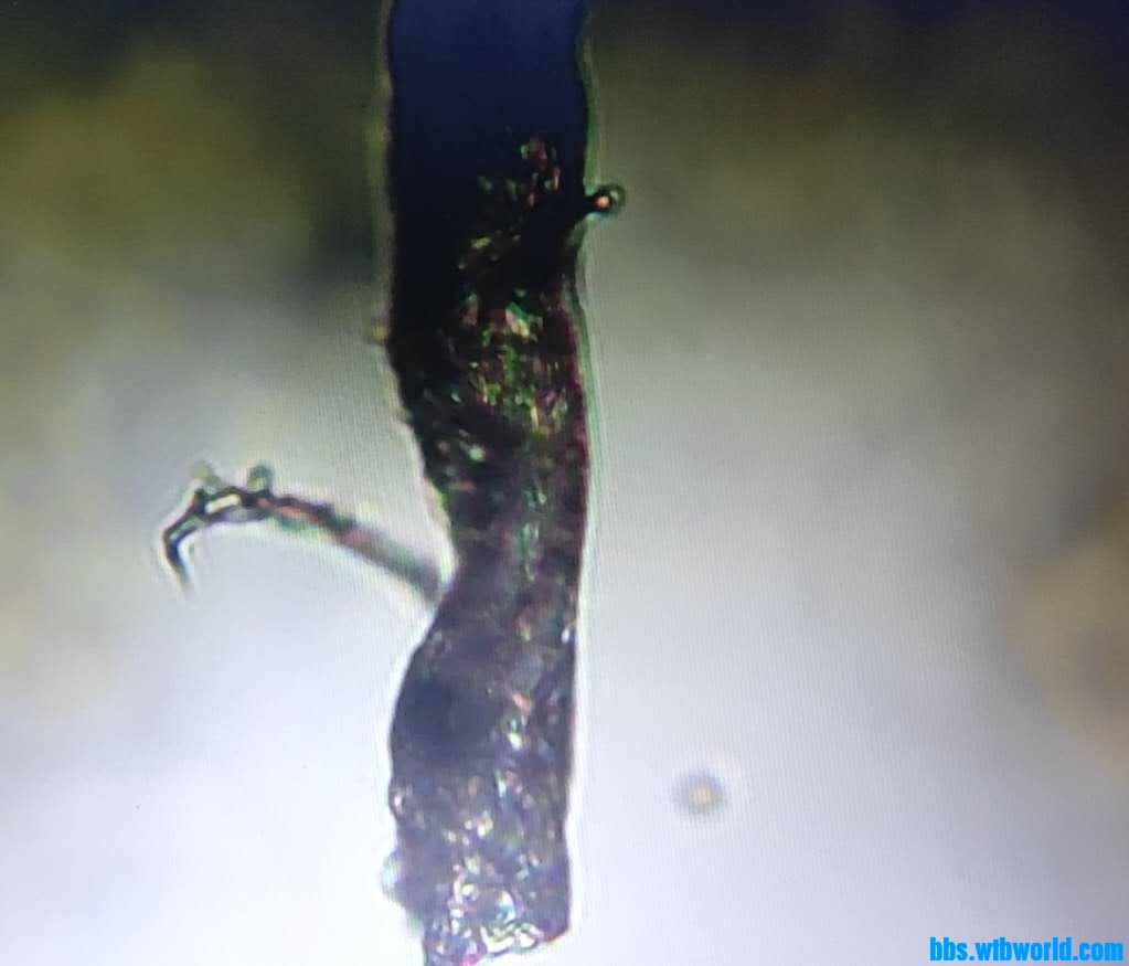 wechat_upload16000888415f5f6b092337f