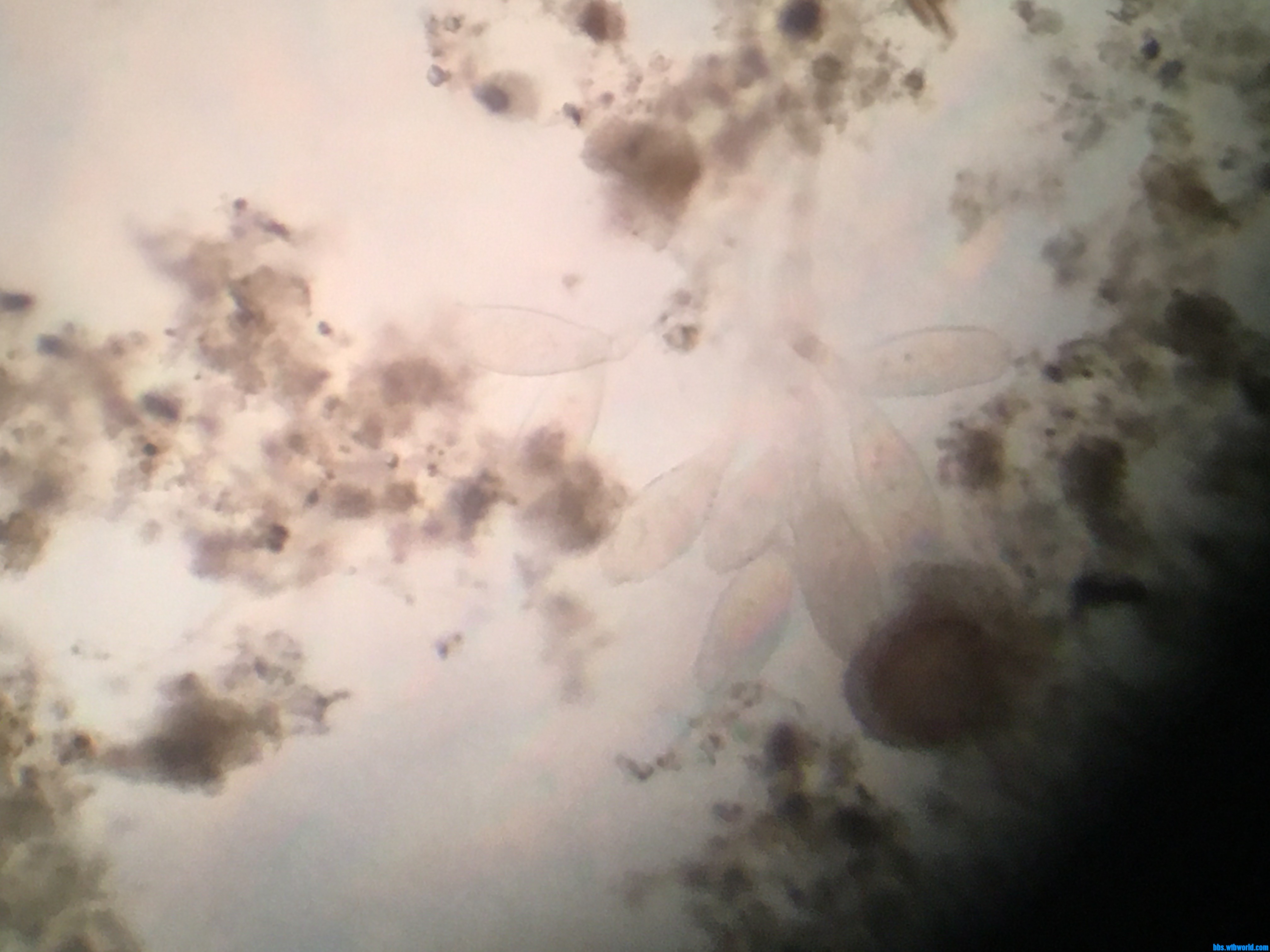 wechat_upload16000932175f5f7c21aa67b