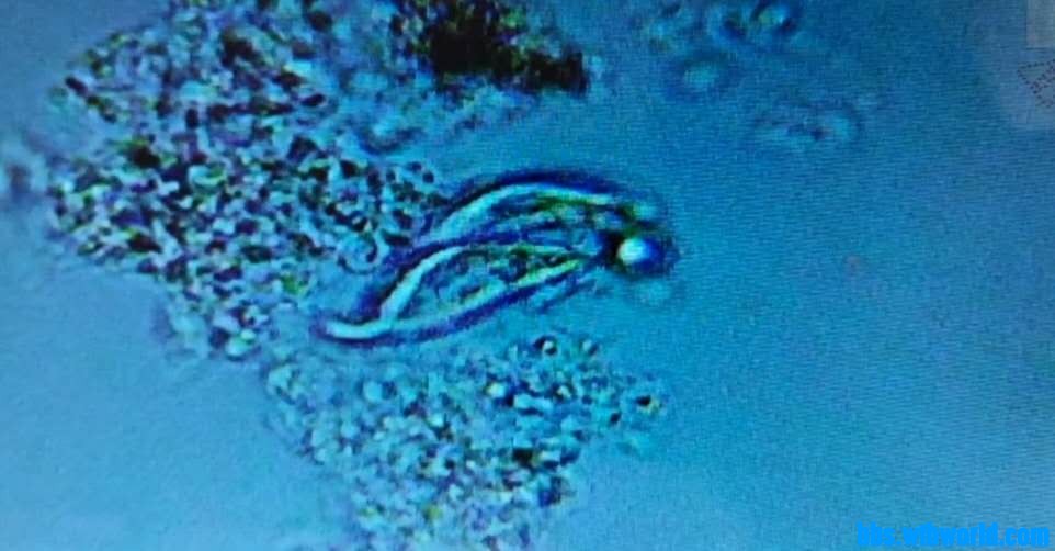 wechat_upload16001394935f6030e5b6b20